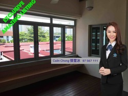 Tiong Bahru Estate (D3), Apartment #165271182